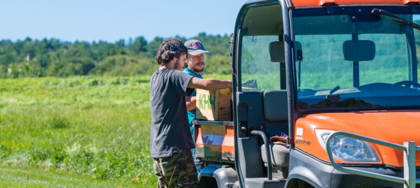 Youth Services provides agricultural employment for at-risk youth in Bellows Falls